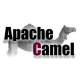 Cursos de Apache Camel en Uruguay